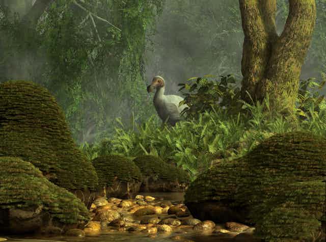 artist rendering of a dodo in a tropical forest