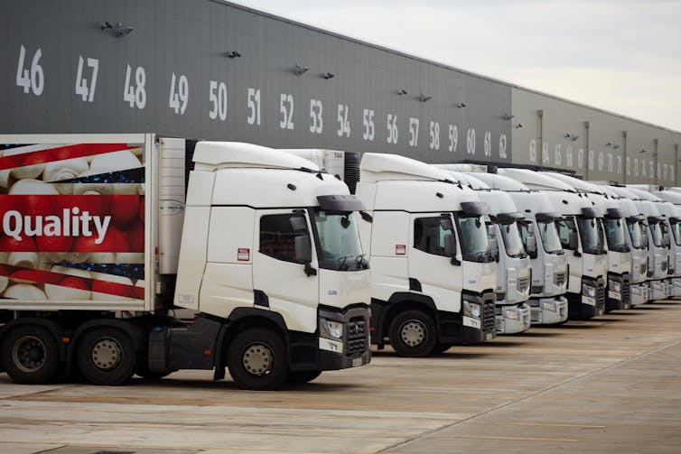 A row of lorries backed into a distribution lot.