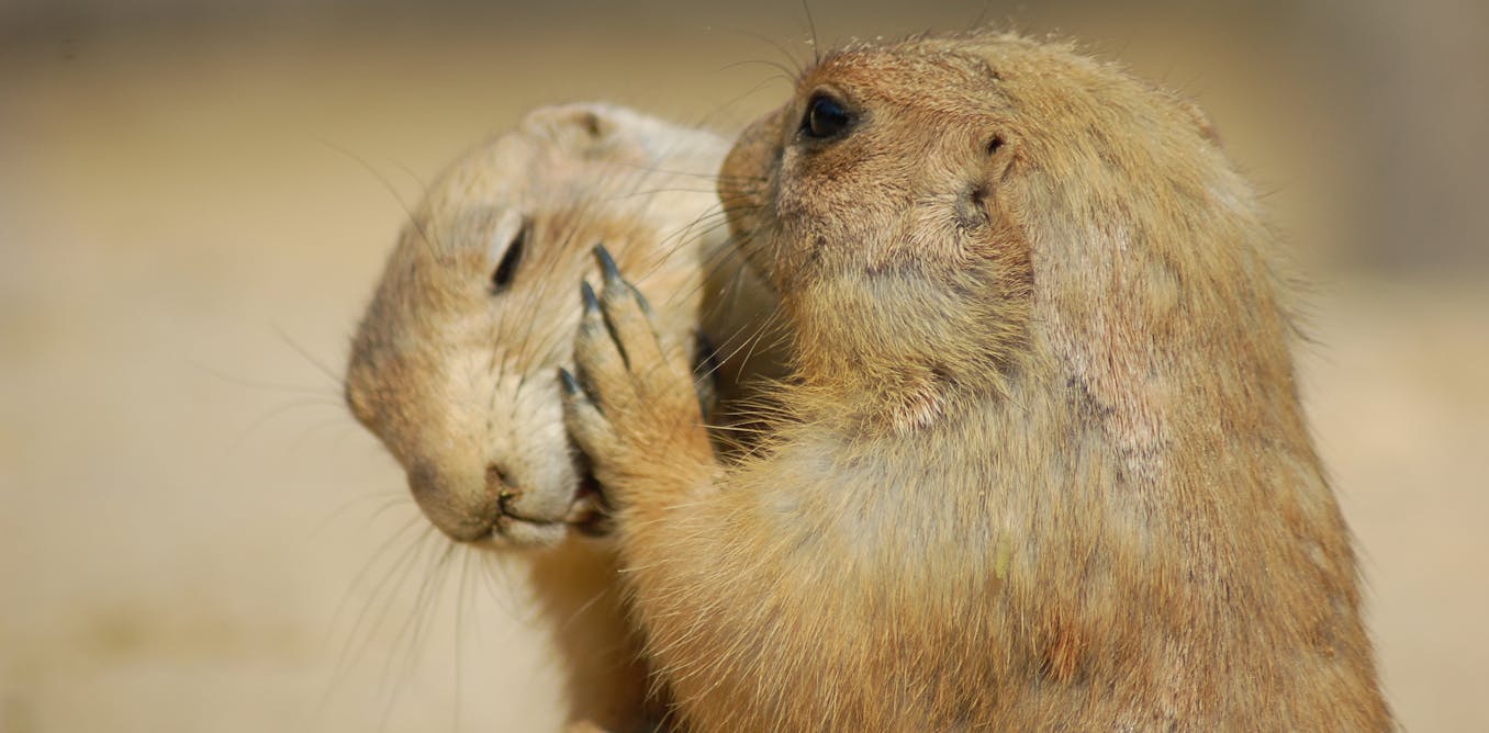 Hard evidence: how does false information spread online?