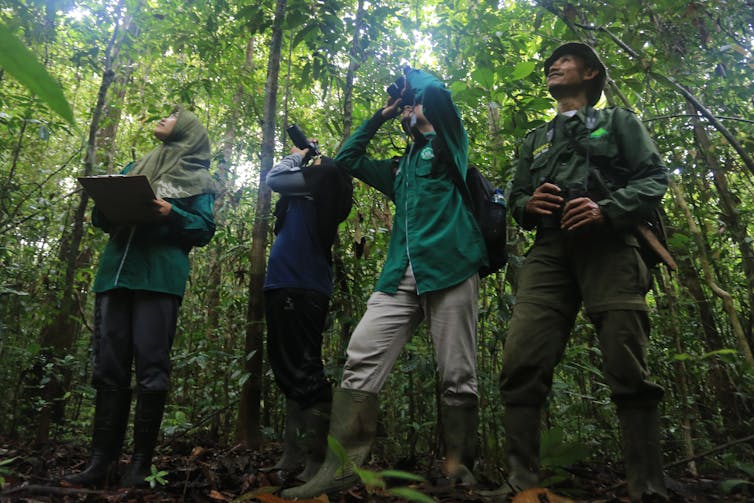 Nasib Indonesia: titik panas ancaman populasi satwa, tapi kekurangan data untuk mengukurnya 8 Nasib Indonesia: titik panas ancaman populasi satwa, tapi kekurangan data untuk mengukurnya
