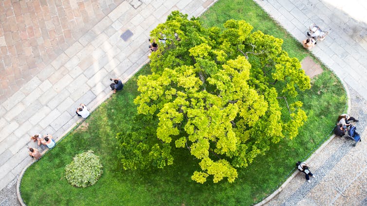 A small park viewed from above