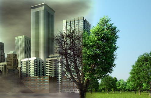 Las infraestructuras verdes como barrera al tsunami urbano Las infraestructuras verdes como barrera al tsunami urbano