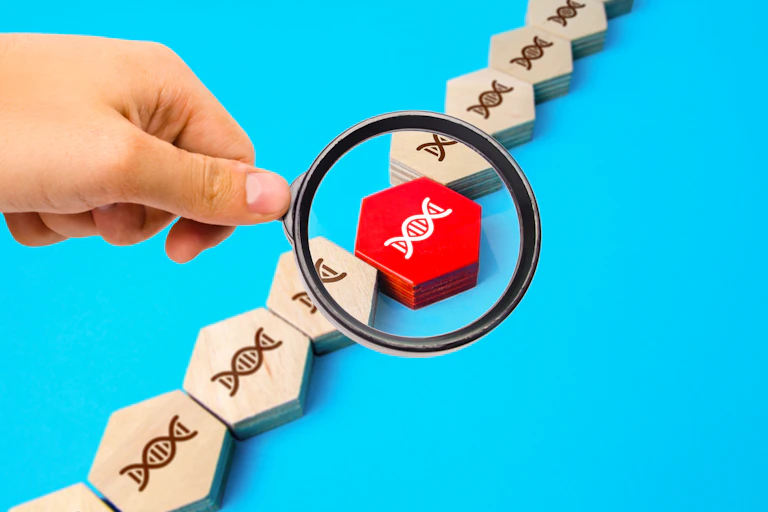 Hand holding magnifying glass to a red hexagonal block with a DNA helix inscribed on it among a line of wooden hexagonal blocks.