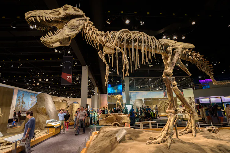a large dinosaur on display at a museum with visitors around it