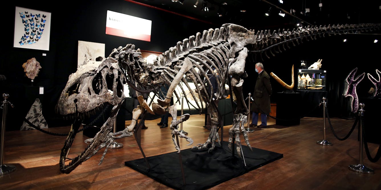A Rare Skeleton of the Raptor That Inspired the Villains of 'Jurassic Park'  Is the Star of Christie's 20th Century Art Evening Sale