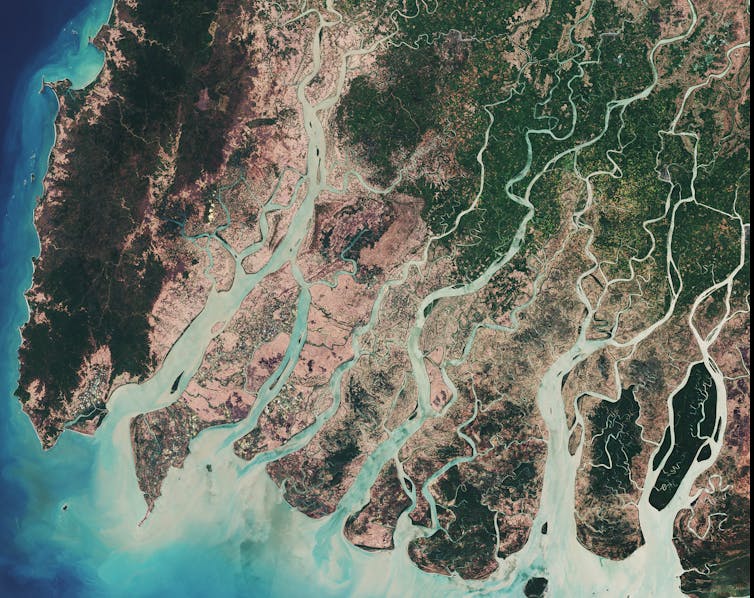 Satellite image of the Irrawaddy River delta in Myanmar photo