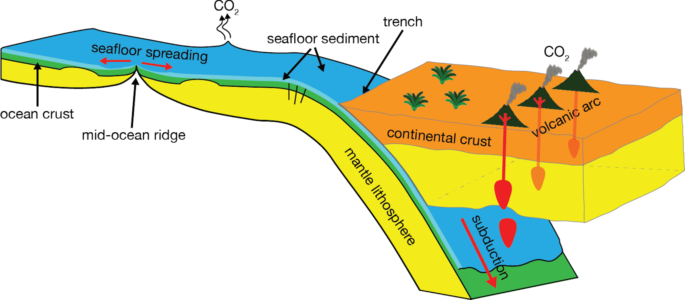 How plate tectonics mountains and deep sea sediments have maintained How plate tectonics mountains and deep sea sediments have maintained