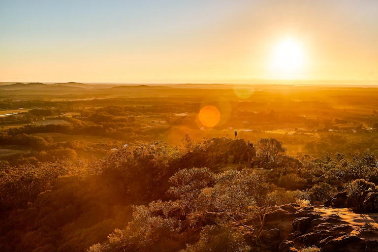 Sunrise over bush