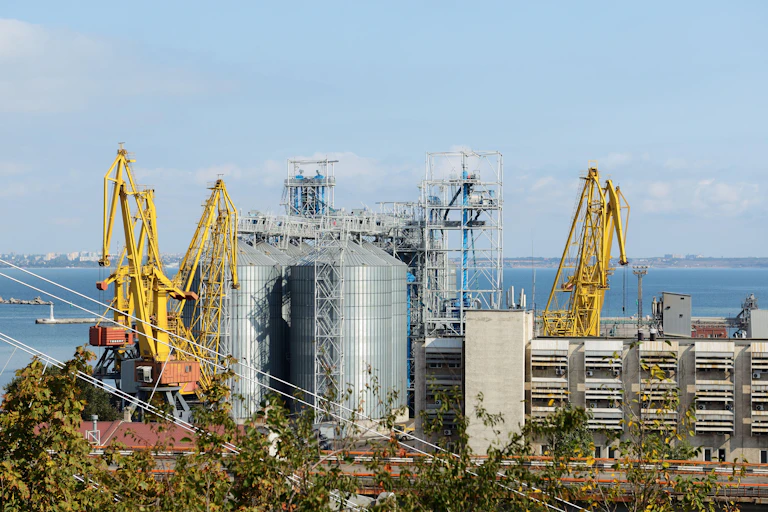 A silver grain silo with yellow cranes around it.
