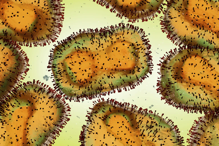 Graphic depicting monkeypox.