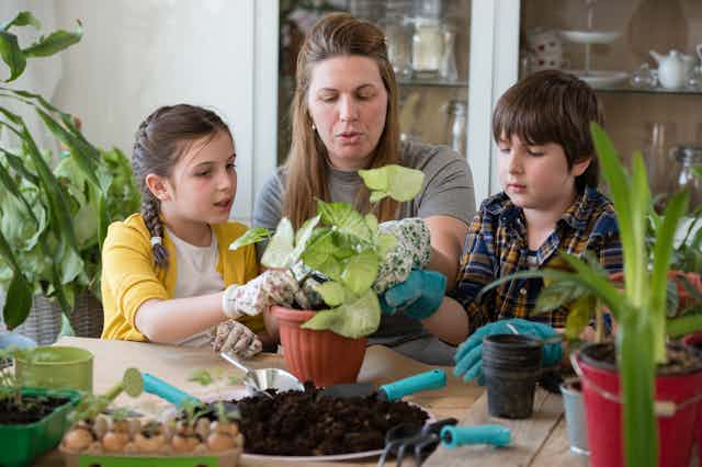 Mother and children planting house plant