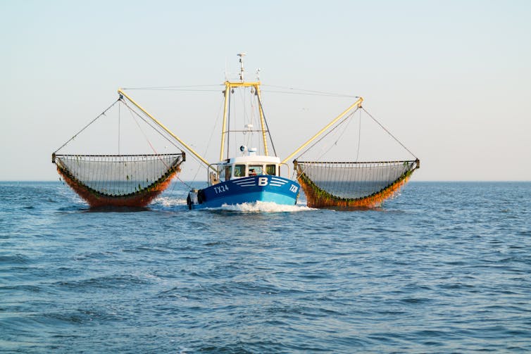 A fishing trawler catching fish on the open sea