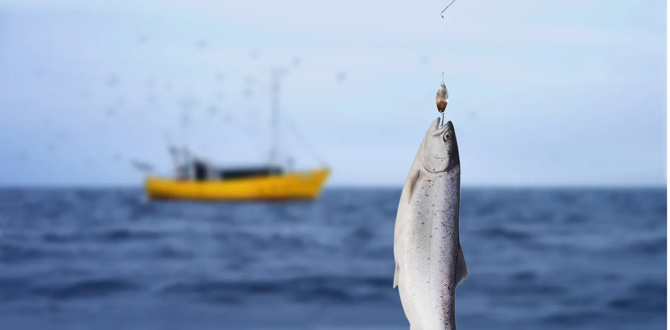 Shared Fish Stock Managing fish stocks shared by nations must focus on the impacts of ...