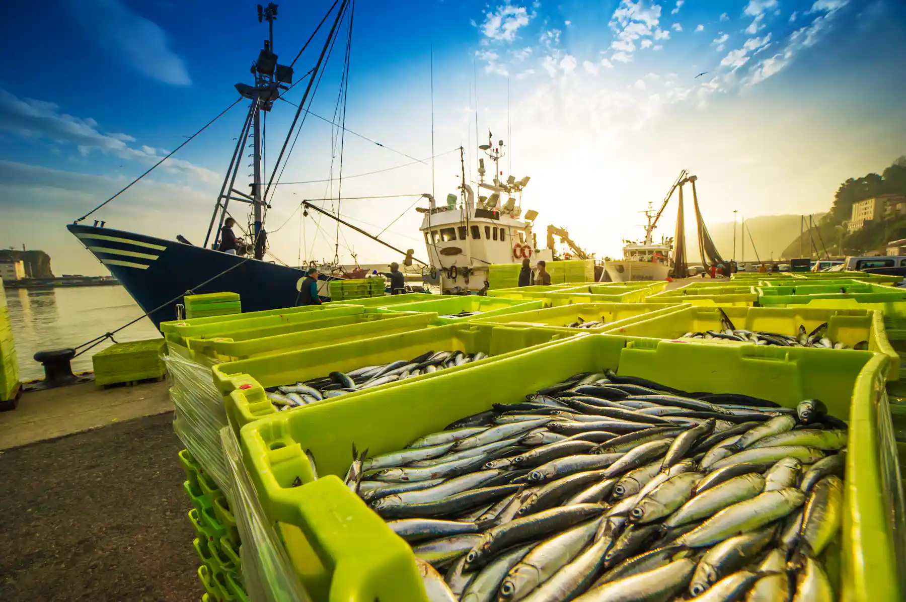 Managing fish stocks shared by nations must focus on the impacts of ...