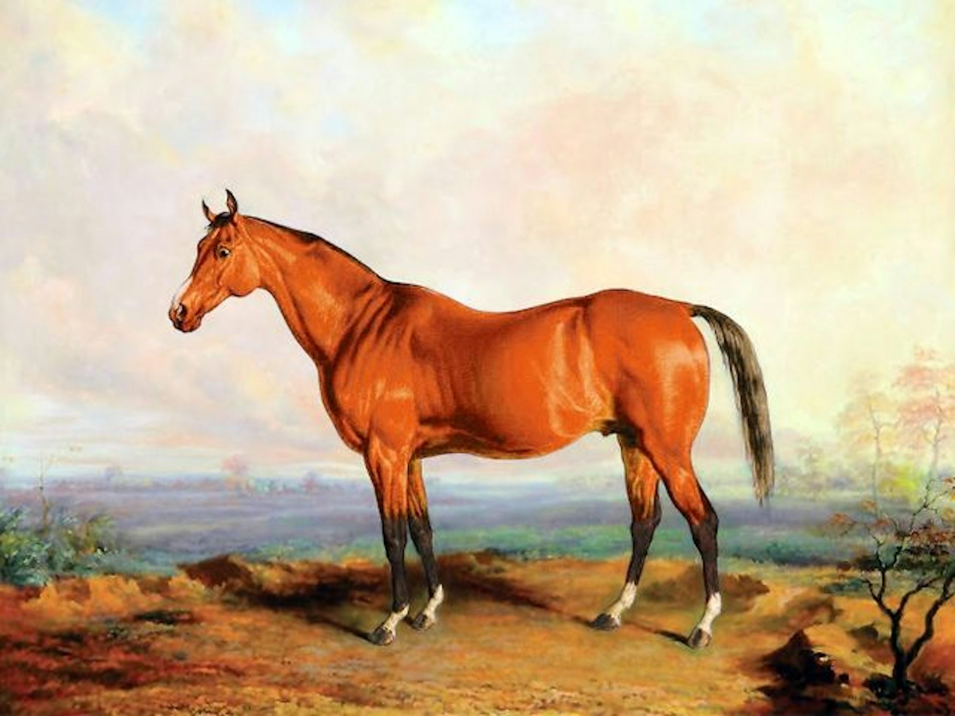 Geraldine Brooks s Horse is a richly detailed examination of the