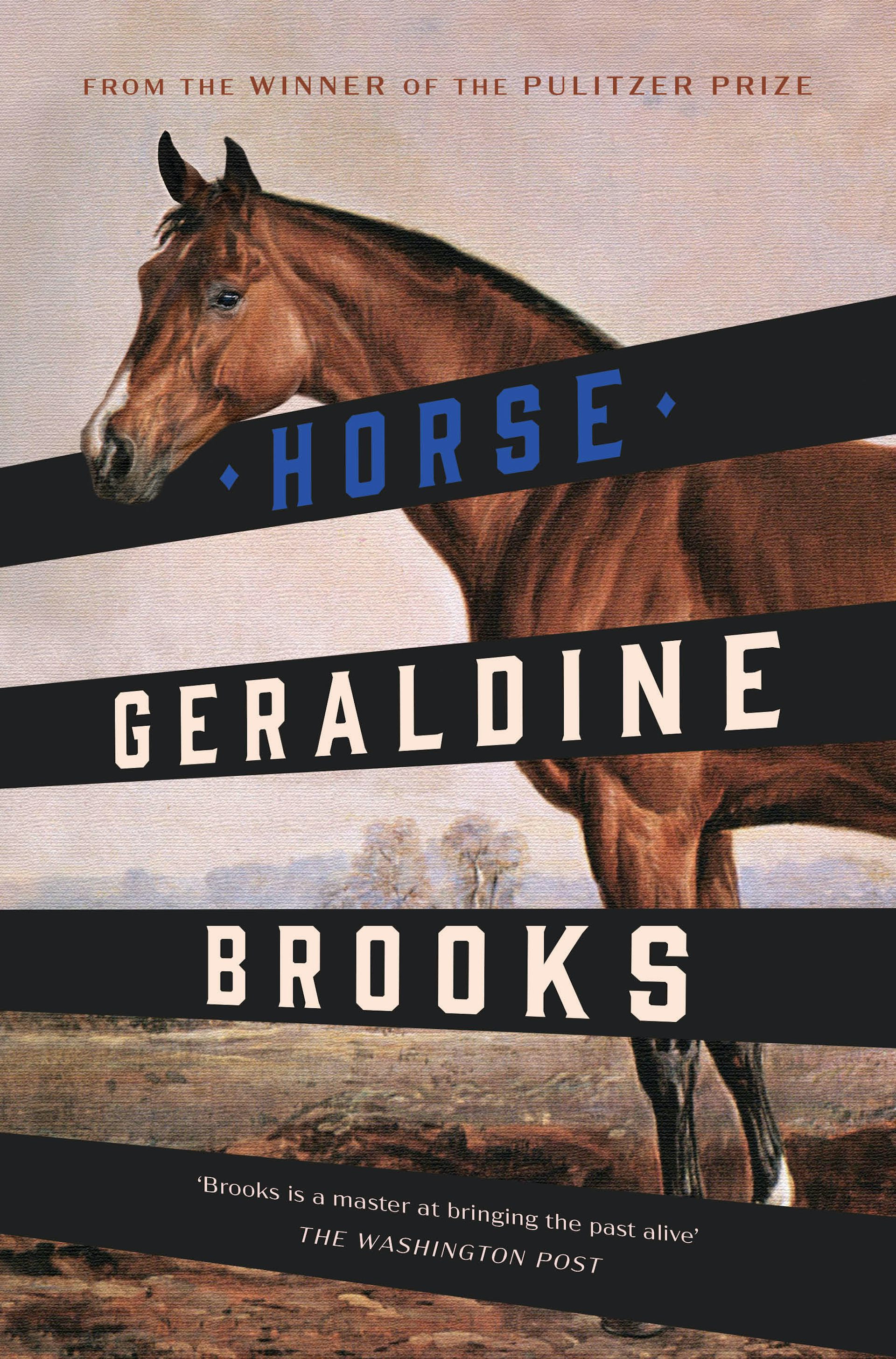 Geraldine Brooks S Horse Is A Richly Detailed Examination Of The   File 20220525 25418 8ux0mi 