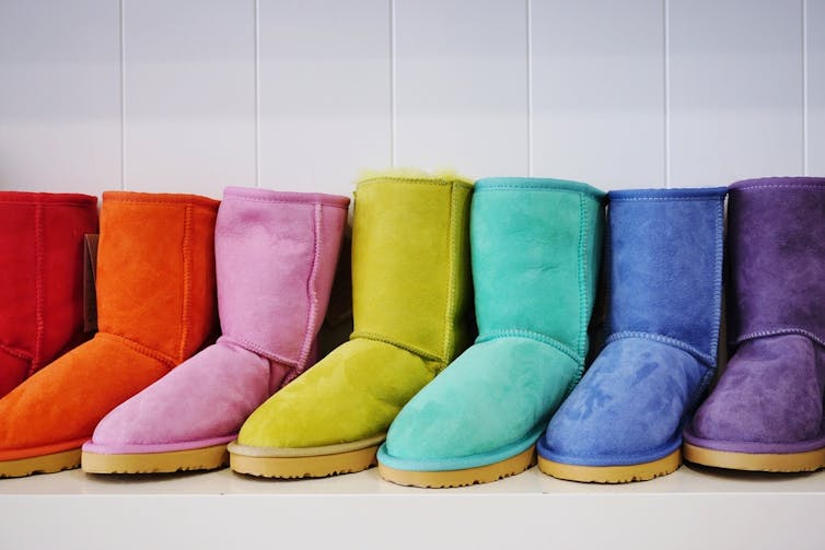 Row of ugg boots in different colours