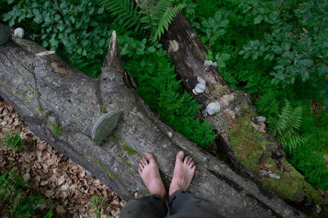 A person in bare feet stands on a fallen tree trunk