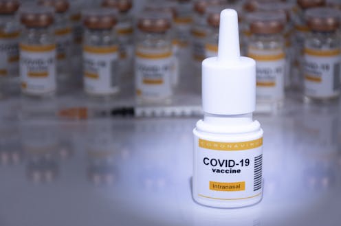 Nasal COVID-19 vaccines help the body prepare for infection right where it starts – in your nose and throat