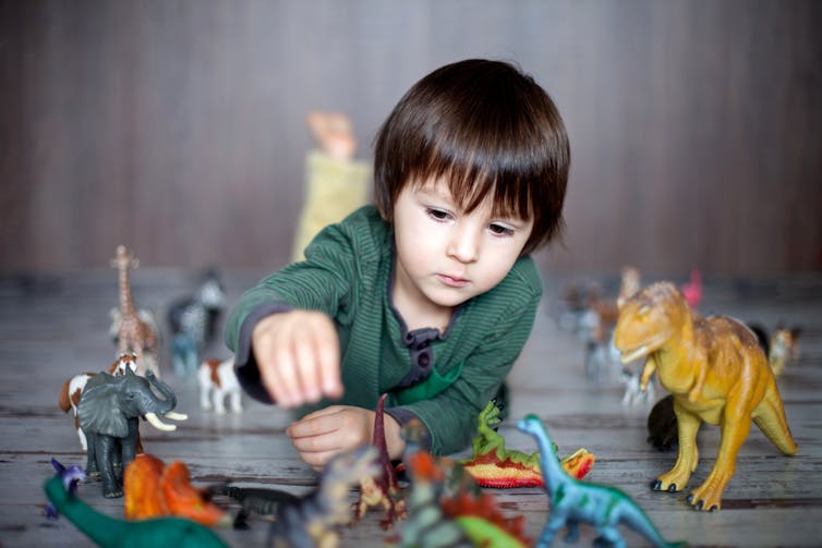 A boy is seen playing with dinosaurs.