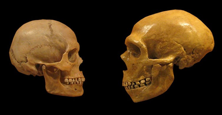 Two skulls on black background