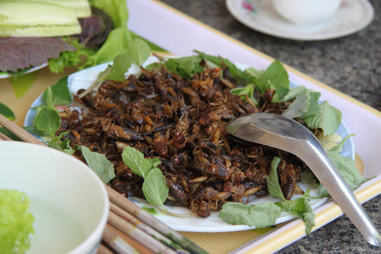 Assiette d'insectes grillés acommpagnés de quelques feuilles de menthe.