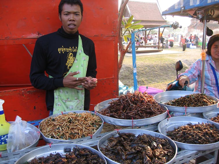 Man behind a stall displaying several types of insects