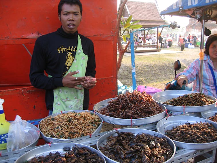 Homme derrière un étal présentant plusieurs types d’insectes