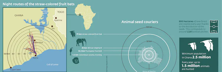 Map with blue and yellow. Lines showing animal dispersal habits