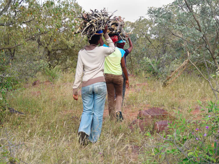 Three young women carry a bundle of firewood aloft.
