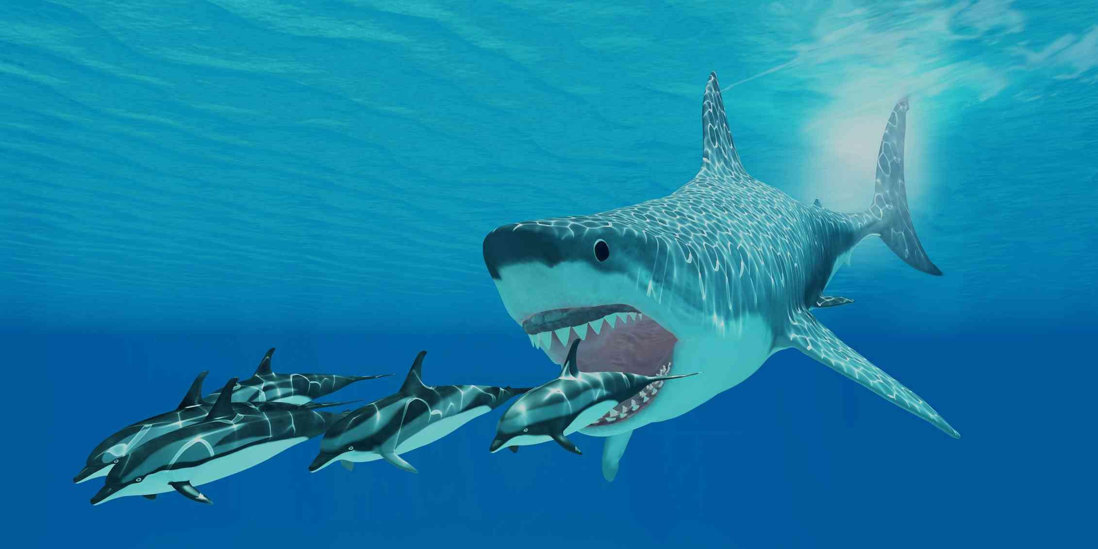 Millions of years ago, the megalodon ruled the oceans – why did it