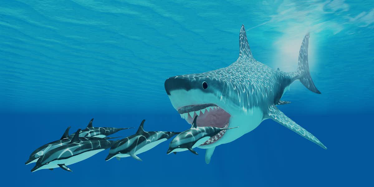 Millions of years ago, the megalodon ruled the oceans – why did it