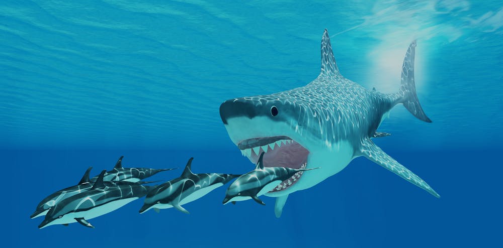 Millions of years ago, the megalodon ruled the oceans – why did it