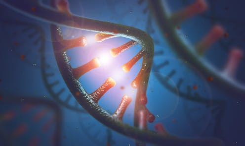 Nuevas evidencias sobre el mundo ARN: un poco más cerca de entender el origen de la vida
