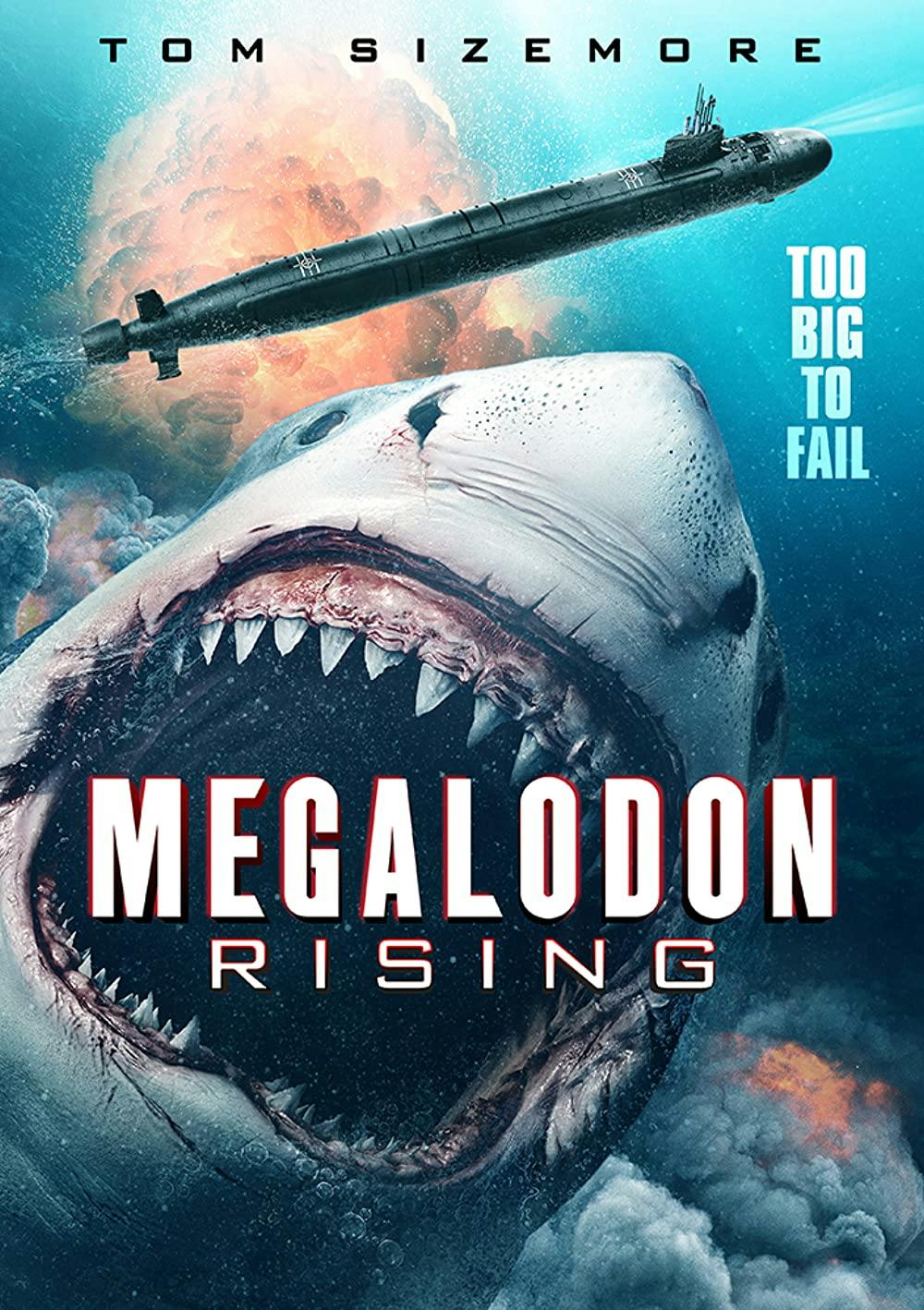 Great White Megalodon Size Comparison