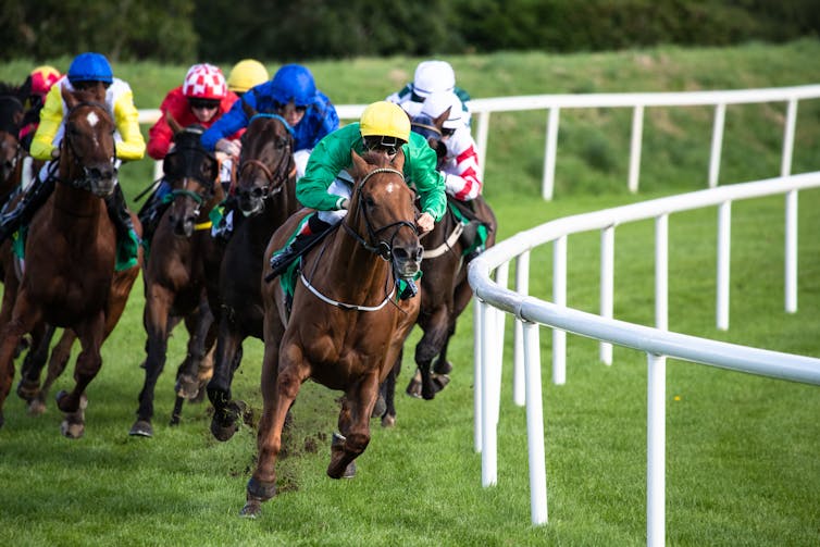 Horses race across a grass race track ridden by jockeys