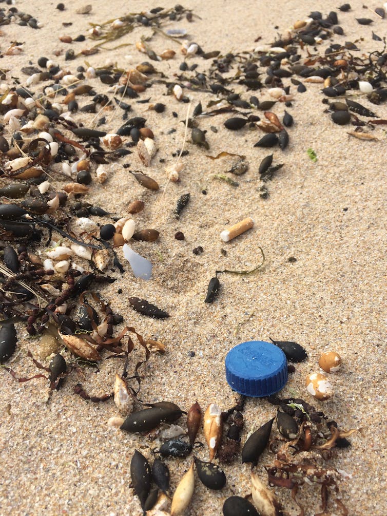 A blue plastic bottle cap, a white plastic fragment and a cigarette butt each partially buried in sand on a beach