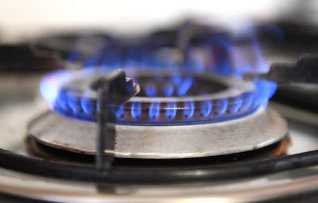 A gas burner burns on a stove.