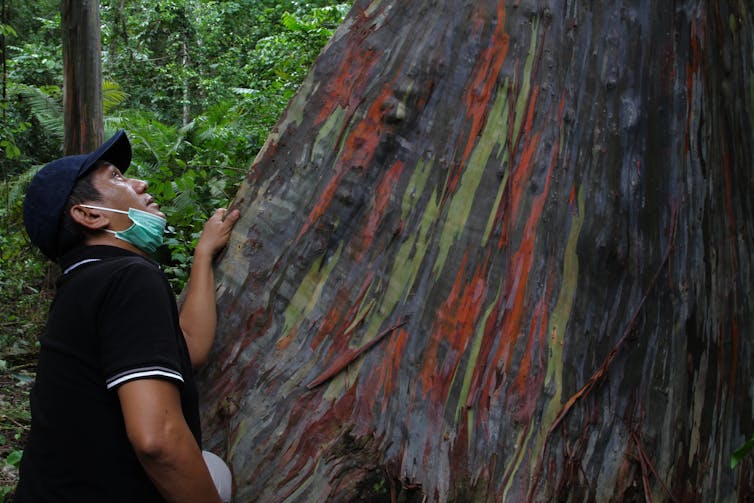 4 analisis soal ketimpangan riset lingkungan di Indonesia timur yang perlu segera diatasi 10 4 analisis soal ketimpangan riset lingkungan di Indonesia timur yang perlu segera diatasi