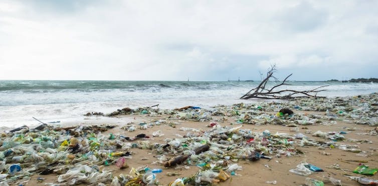 4 analisis soal ketimpangan riset lingkungan di Indonesia timur yang perlu segera diatasi 8 4 analisis soal ketimpangan riset lingkungan di Indonesia timur yang perlu segera diatasi