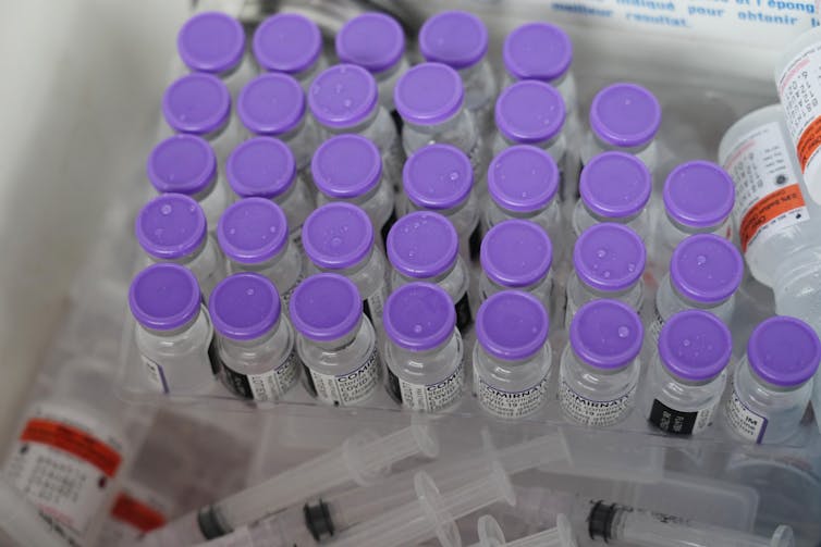 Vials of vaccine with purple caps shot from above