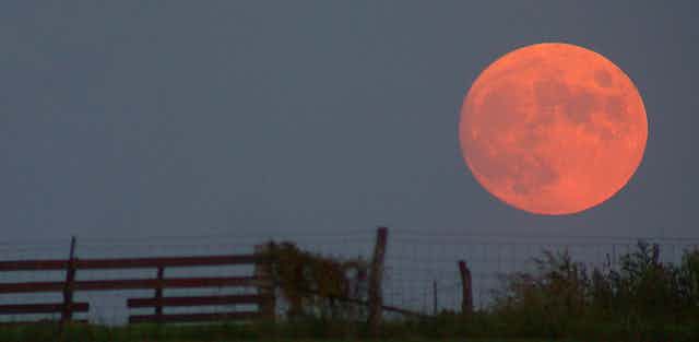 A huge red moon next to a fence.