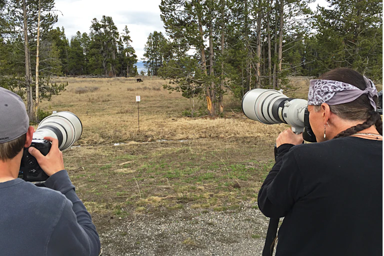 Two photographers with large zoom lenses take pictures of a bear hunderds of feet away.