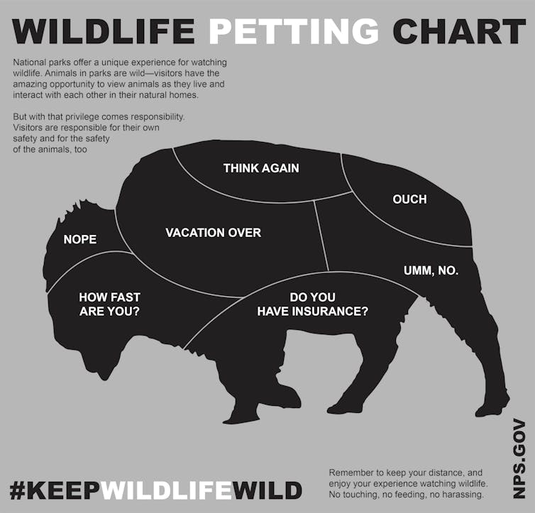 'Petting chart' image of a bison with various sections marked 'Nope,' 'Ouch,' and similar messages.