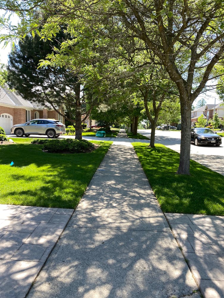 A shaded sidewalk, with trees overhead, grass on either side and a car in a driveway.