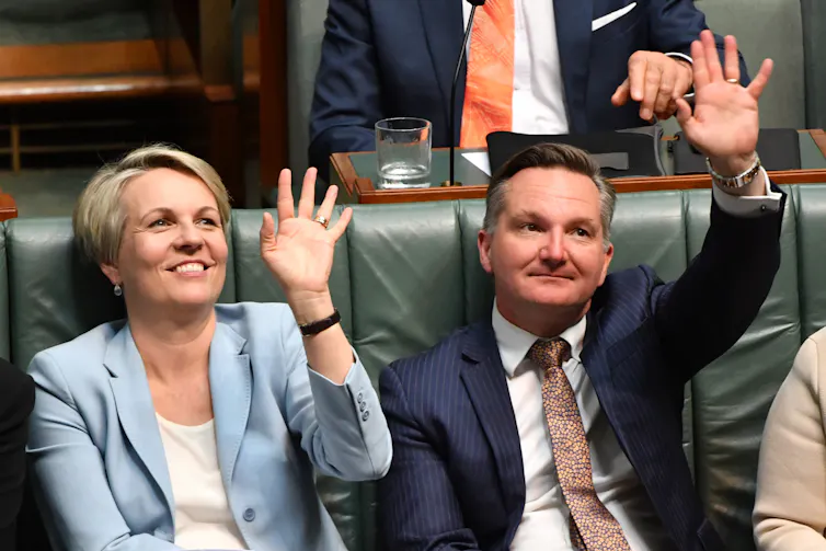 Tanya Plibersek and Chris Bowen in 2019