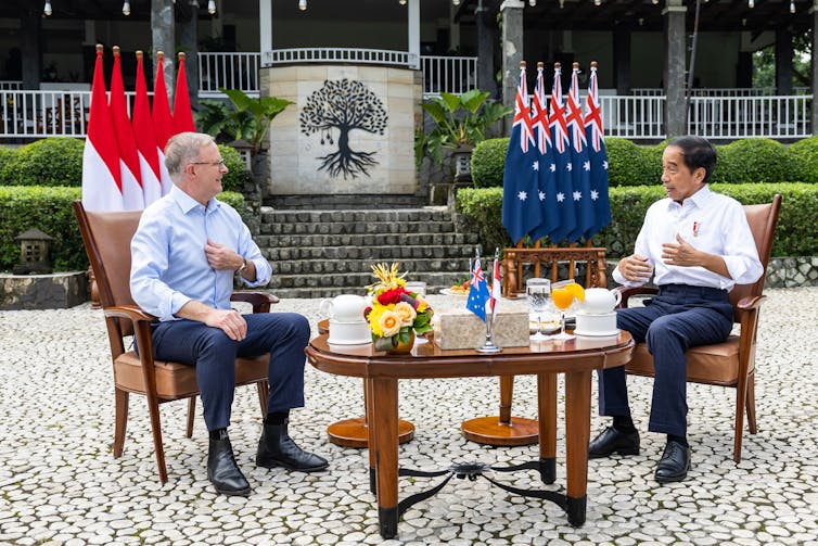 Albanese and Jokowi holding talks at Bogor Palace.