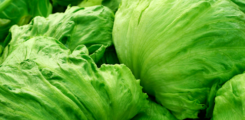 Why is lettuce so expensive? Costs have shot up, and won't return to where they were