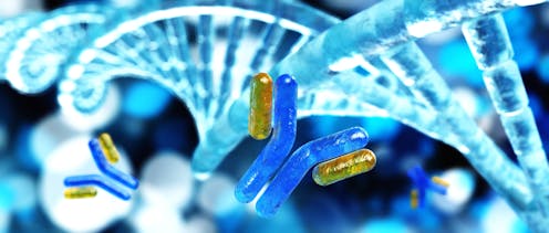 Las células del sistema inmune reescriben su propio ADN para protegernos Las células del sistema inmune reescriben su propio ADN para protegernos