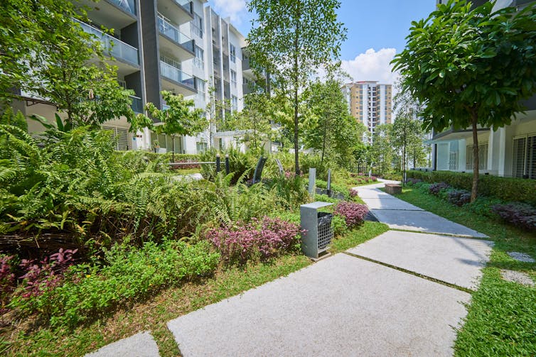 A sidewalk meanders between buildings, edged by plants and trees of various heights.